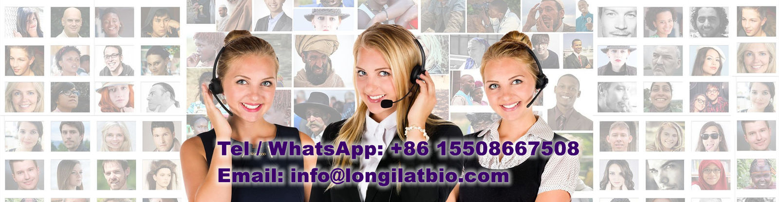 качество GS-441524 фабрика