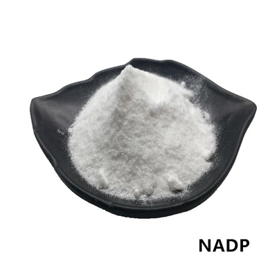 CAS NADP 1184-16-3 пудрят фосфат Dinucleotide аденина никотинамида 99% бета
