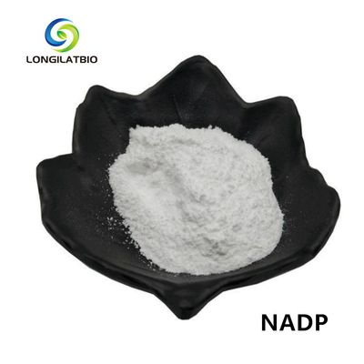 Фосфат Dinucleotide аденина Бета-никотинамида порошка NADPH+